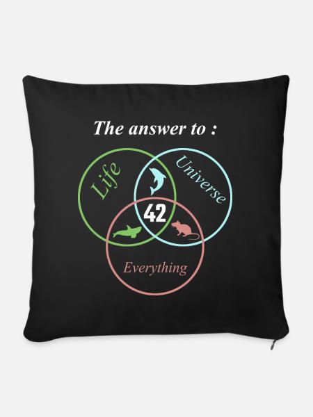 The 42 Answer To Life Universe Everything Science - Sofa pillowcase 17,3'' x 17,3'' (45 x 45 cm) - black