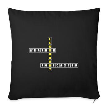 Meteorology Meteorologist Legendary Weather - Sofa pillowcase 17,3'' x 17,3'' (45 x 45 cm) - black - Front