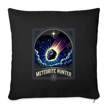 Geologie-steinjagd Achat-jäger-steinsammeln - Sofakissenbezug 45 x 45 cm - Schwarz - Vorne
