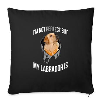 Mein Labrador Ist Perfekt Für Alle Hundebesitzer - Sofakissenbezug 45 x 45 cm - Schwarz - Vorne