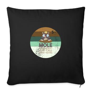Chemistry Mole Problems - Sofa pillowcase 17,3'' x 17,3'' (45 x 45 cm) - black - Front