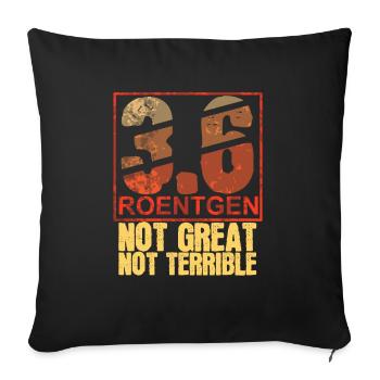3.6 Roentgen Not Great Not Terrible - Sofa pillowcase 17,3'' x 17,3'' (45 x 45 cm) - black - Front