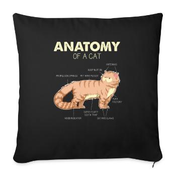 Anatomie de chat d'un chat - cadeaux de chat drôle - Housse de coussin décorative 45 x 45 cm - noir - Devant