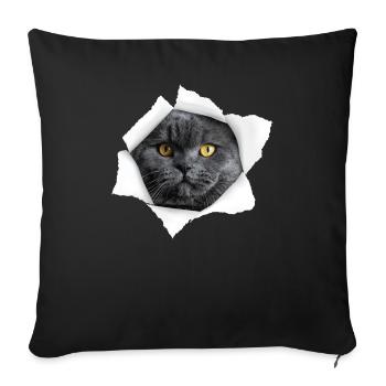 Cute Cat Torn - Chat britannique à poil court - Housse de coussin décorative 45 x 45 cm - noir - Devant