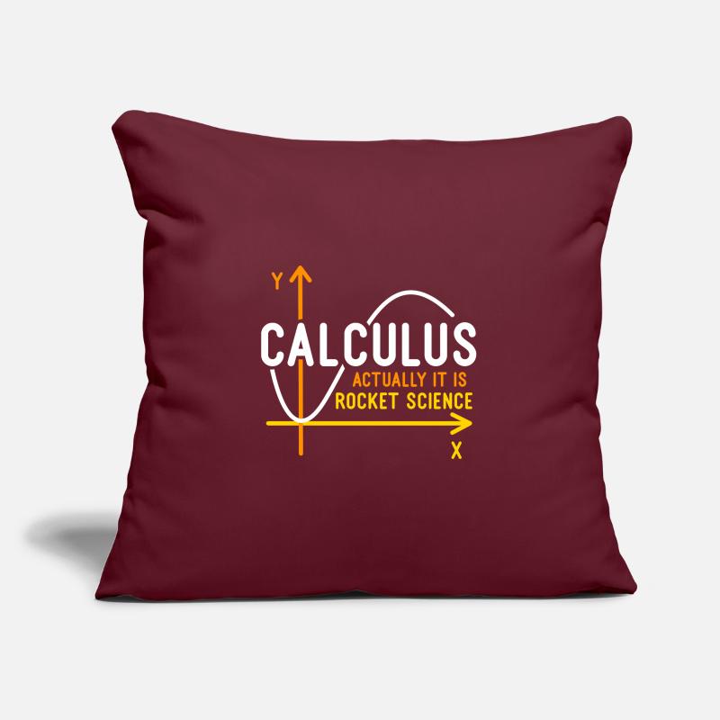 Calculus Is Rocket Science Sofa pillowcase 17,3'' x 17,3'' (45 x 45 cm)