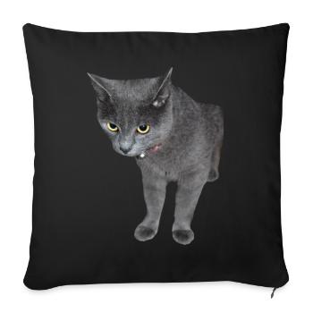 Chat Chaton Chat Drôle Chemise Cadeau - Housse de coussin décorative 45 x 45 cm - noir - Devant