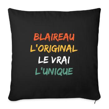 blaireau - Housse de coussin décorative 45 x 45 cm - noir - Devant