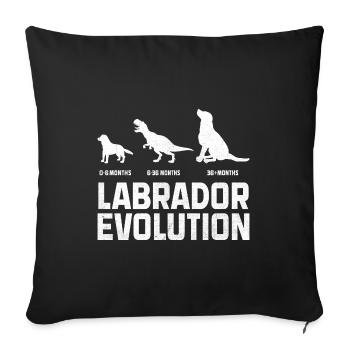 Evolution Labrador Retriever Lab Hund Retriever - Sofakissenbezug 45 x 45 cm - Schwarz - Vorne