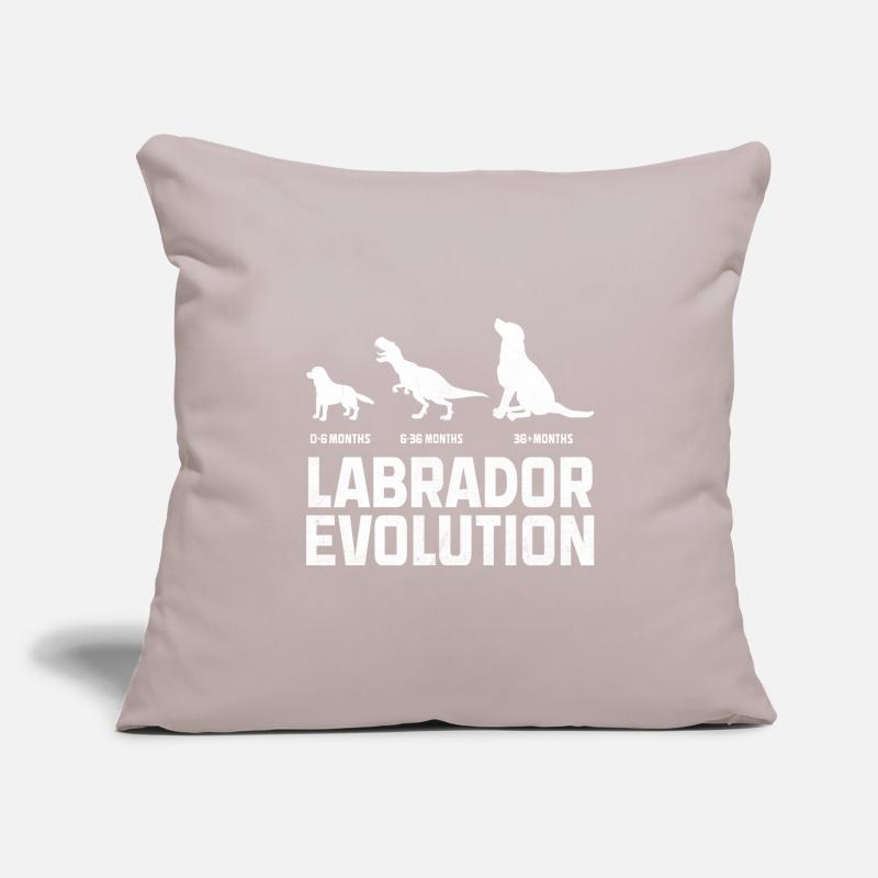 Evolution Labrador Retriever Retrievers de laboratoire Housse de coussin décorative 45 x 45 cm
