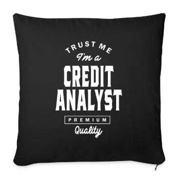 Croyez-moi, je suis analyste de crédit - Housse de coussin décorative 45 x 45 cm - noir - Devant