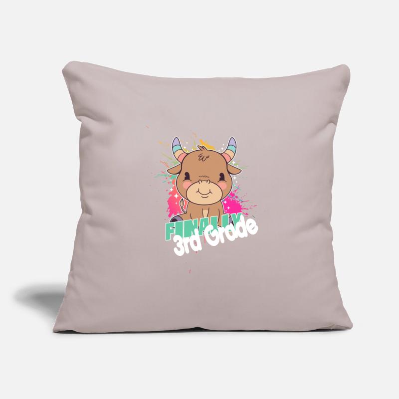 Finally 3rd Grade, Second Grader Sofa pillowcase 17,3'' x 17,3'' (45 x 45 cm)