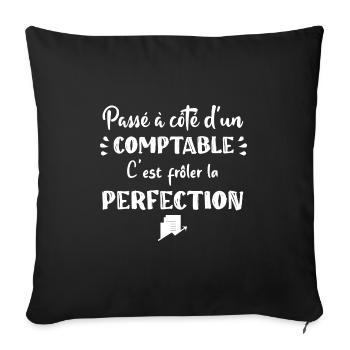 Passé à côté d'un comptable t-shirt humour - Housse de coussin décorative 45 x 45 cm - noir - Devant
