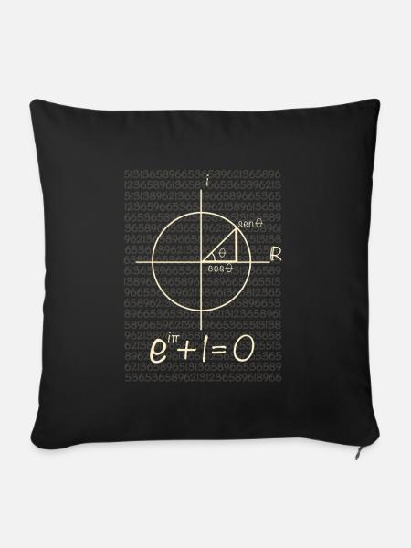 Eulersche Gleichung - Sofakissenbezug 45 x 45 cm - Schwarz