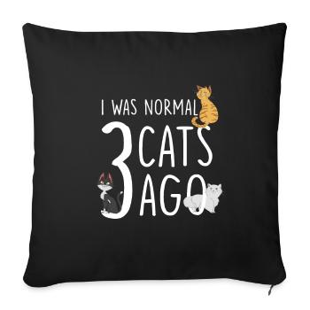 Cat I Was Normal 3 Cats Ago Cat Holder - Sofa pillowcase 17,3'' x 17,3'' (45 x 45 cm) - black - Front