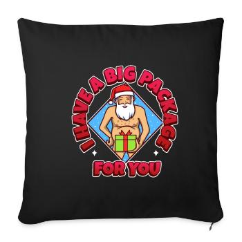 J’ai un gros paquet pour vous - Housse de coussin décorative 45 x 45 cm - noir - Devant