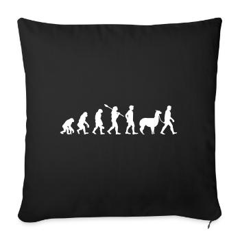 Evolution Alpagas randonnée amusante idée de cadeau Fun - Housse de coussin décorative 45 x 45 cm - noir - Devant