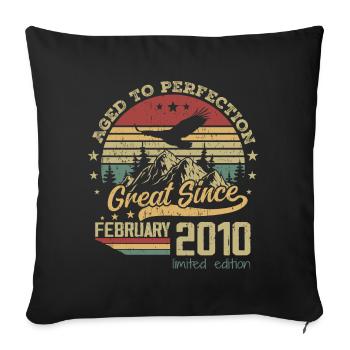 14 years old Aged to Perfection born in February 2010 - Sofa pillowcase 17,3'' x 17,3'' (45 x 45 cm) - black - Front