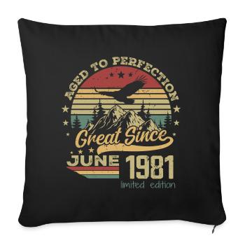 43 years old Aged to Perfection born in June 1981 - Sofa pillowcase 17,3'' x 17,3'' (45 x 45 cm) - black - Front