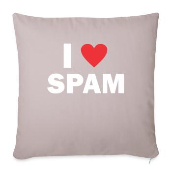 Spam mail email cadeau d'anniversaire - Housse de coussin décorative 45 x 45 cm - taupe clair - Devant
