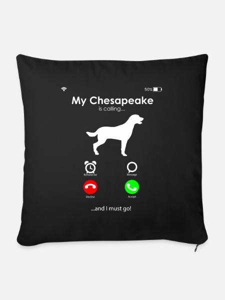 Chesapeake Bay Retriever - Sofakissenbezug 45 x 45 cm - Schwarz