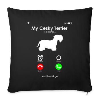 Cesky Terrier Hund - Cesky Terrier - Sofakissenbezug 45 x 45 cm - Schwarz - Vorne