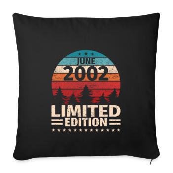 21. Geburtstag Juni Jahrgang 2002 Vintage - Sofakissenbezug 45 x 45 cm - Schwarz - Vorne