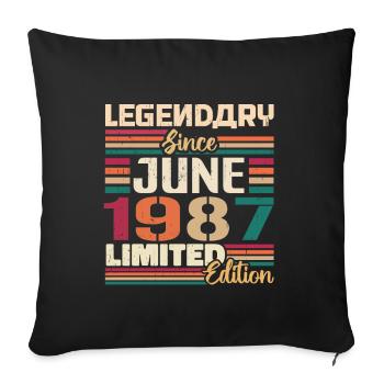 Legendary June 1987 Limited Edition June 1987 - Sofa pillowcase 17,3'' x 17,3'' (45 x 45 cm) - black - Front