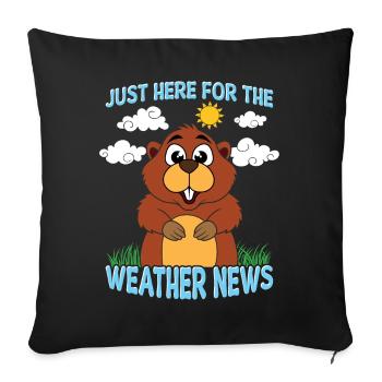 Just here for the weather news - Sofa pillowcase 17,3'' x 17,3'' (45 x 45 cm) - black - Front