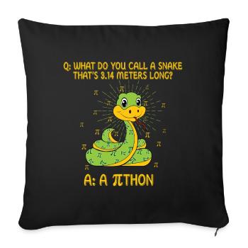 Pi Tag Snake : Quelle est la longueur de 3,14 m ? - Housse de coussin décorative 45 x 45 cm - noir - Devant