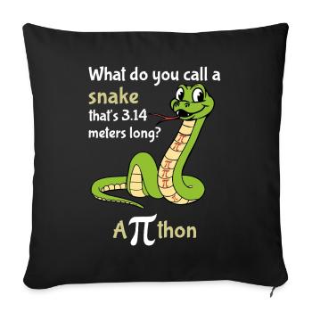 Comment appelle-t-on une balise Snake Pi - Housse de coussin décorative 45 x 45 cm - noir - Devant