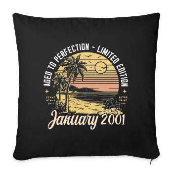 2001 Geburtstag Januar 2001 - Geschenk Januar 2001 - Sofakissenbezug 45 x 45 cm - Schwarz - Vorne