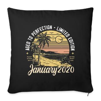 2020 Birthday January 2020 - Gift January 2020 - Sofa pillowcase 17,3'' x 17,3'' (45 x 45 cm) - black - Front