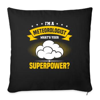 Météorologie Météo Météo Grenouille Cadeau - Housse de coussin décorative 45 x 45 cm - noir - Devant