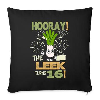 16ème jour BHooray Le poireau a 16 ans - Housse de coussin décorative 45 x 45 cm - noir - Devant