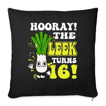 16ème jour BHooray Le poireau a 16 ans - Housse de coussin décorative 45 x 45 cm - noir - Devant