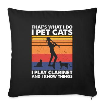 That's What Do Pet Cats Play Clarinet Know Things - Sofa pillowcase 17,3'' x 17,3'' (45 x 45 cm) - black - Front