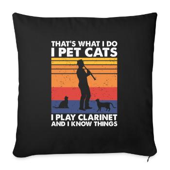 That's What Do Pet Cats Play Clarinet Know Things - Sofa pillowcase 17,3'' x 17,3'' (45 x 45 cm) - black - Front