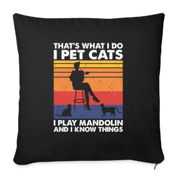 That's What Do Pet Cats Play Mandolin Know Things - Sofa pillowcase 17,3'' x 17,3'' (45 x 45 cm) - black - Front