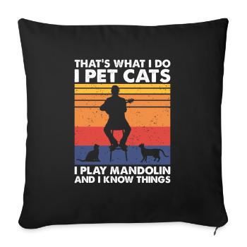 That's What Do Pet Cats Play Mandolin Know Things - Sofa pillowcase 17,3'' x 17,3'' (45 x 45 cm) - black - Front