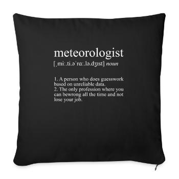 Guesswork Based On Unreliablel Data, meteorologist - Sofa pillowcase 17,3'' x 17,3'' (45 x 45 cm) - black - Front