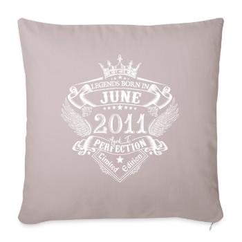 Juni 2011 Geburtstag Juni 2011 Juni Geschenk - Sofakissenbezug 45 x 45 cm - helles Taupe - Vorne