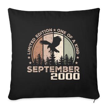 Incomparable depuis septembre 2000 24 Anniversaire - Housse de coussin décorative 45 x 45 cm - noir - Devant