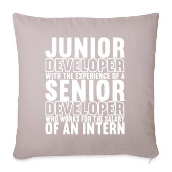 Programmers Programming Computer Scientists - Sofa pillowcase 17,3'' x 17,3'' (45 x 45 cm) - light taupe - Front