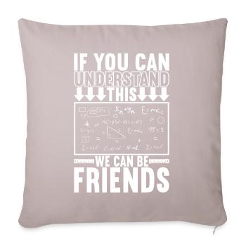 Professeur de mathématiques - Housse de coussin décorative 45 x 45 cm - taupe clair - Devant
