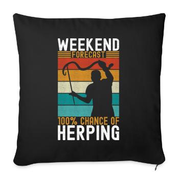 Herpetology snake catcher - Sofa pillowcase 17,3'' x 17,3'' (45 x 45 cm) - black - Front