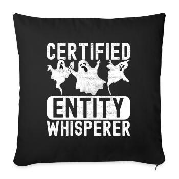 Paranormal Investigator Ghost Hunting - Sofa pillowcase 17,3'' x 17,3'' (45 x 45 cm) - black - Front