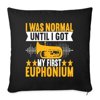 Euphonium Euphonium Player - Sofa pillowcase 17,3'' x 17,3'' (45 x 45 cm) - black - Front