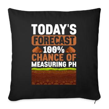 Bodenwissenschaftler Soil Science - Sofa pillowcase 17,3'' x 17,3'' (45 x 45 cm) - black - Front