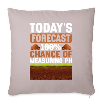 Bodenwissenschaftler Soil Science - Sofa pillowcase 17,3'' x 17,3'' (45 x 45 cm) - light taupe - Front