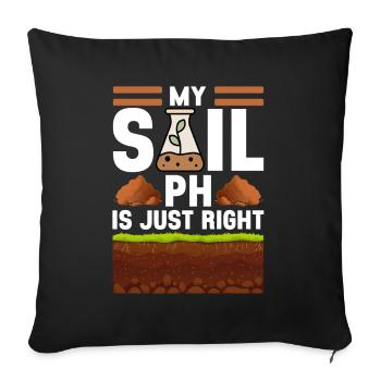 Bodenwissenschaftler Soil Science - Sofa pillowcase 17,3'' x 17,3'' (45 x 45 cm) - black - Front
